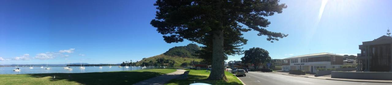 Westhaven Motel Tauranga Eksteriør billede