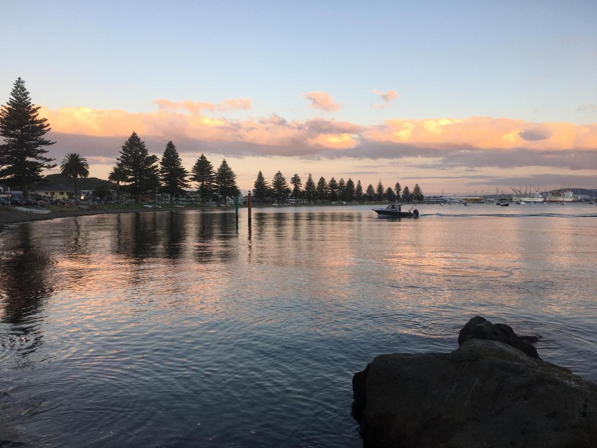 Westhaven Motel Tauranga Eksteriør billede